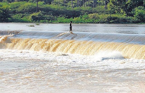 தாமிரபரணி: மண்ணைப் பொன்னாக்கும் 8 நீர்த்தேக்கங்கள்﻿
