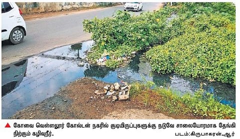 சாக்கடைச் சீர்கேடுகளுக்கு நடுவே வாழ்க்கை﻿: வெள்ளலூர் மக்களின் பரிதாப நிலை