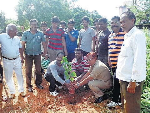 நிழல் தரும் மாணவர்கள்﻿