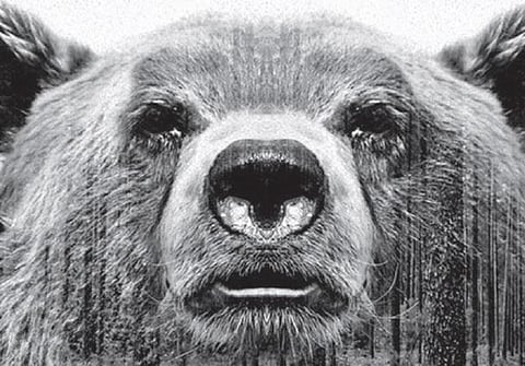 விலங்குகள் கண்ட கனவு