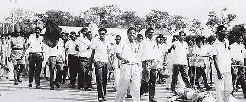 மாம்பழம் தின்ன ஆசையா, மரங்களை எண்ண ஆசையா?