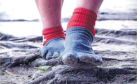 உறுதியான காலுறை