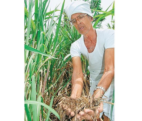 முன்னத்தி ஏர் 1 - சத்தியமங்கலத்தில் ஓர் ‘இயற்கை வேளாண் பள்ளி﻿