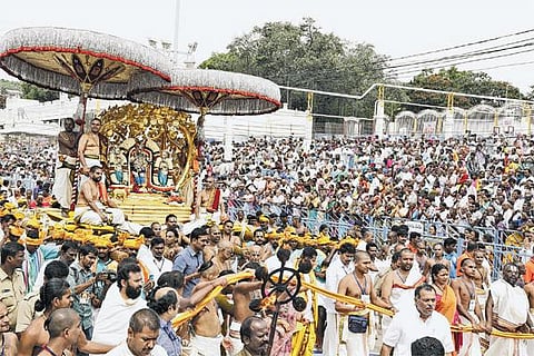 கற்பகவிருட்ச வாகனத்தில் ஏழுமலையான் திருவீதி உலா﻿