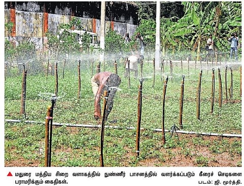 மதுரை மத்திய சிறையில் எந்தவொரு குற்றச் செயலிலும் ஈடுபடாத கைதிகளுக்கு ‘நன்னடத்தை இல்லவாசி’ சான்று﻿