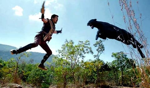 புலியை வேட்டையாடியதா சமூக வலைதள விமர்சனங்கள்?