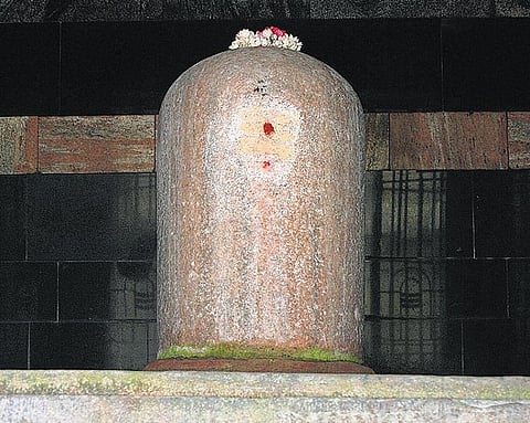 சித்தர்கள் அறிவோம்: தானாய் ஆடிய கயிறு﻿- அப்புடு சுவாமிகள்