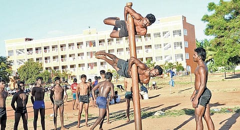 கம்பு மேலே பாம்பு போலே...﻿