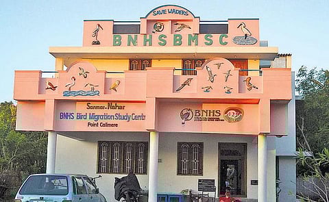 கடல்காகங்களும் முப்பது கேமராக்களும்﻿