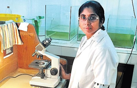 நிலங்களை மீட்டெடுக்கும் நுண்ணுயிரிகள்: சென்னை மாணவியின் புது ஆராய்ச்சி﻿