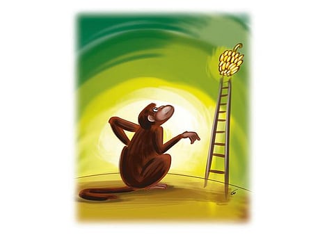 தொழில் ரகசியம்: சமூக ஆதார கோட்பாடும் மனித மனமும்﻿