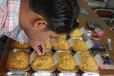 அரசின் தவறான கொள்கைதான் பருப்பு விலை உயர்வுக்கு காரணம்﻿: தமிழக விவசாயிகள் சங்கம் குற்றச்சாட்டு﻿