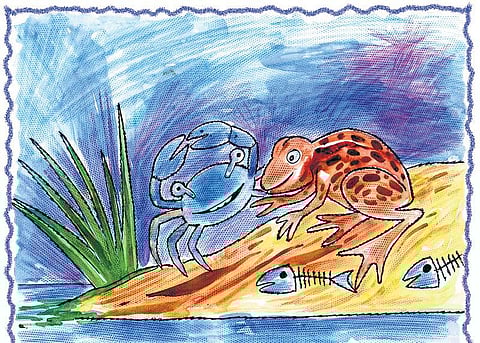 சித்திரக்கதை: விருந்துக்கு அழைத்த நண்பர்கள்﻿