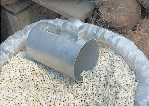 வாண்டு பாண்டு: சின்ன அரிசி, பெரிய பொரி!﻿