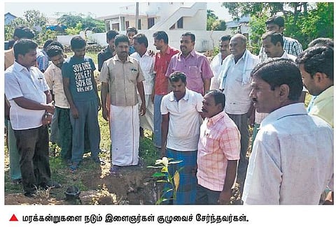 பயன்தரும் மரங்களால் பசுமையாகும் கிராமங்கள்﻿: மாதம் 50 மரக்கன்று நட இளைஞர்கள் குழு முடிவு