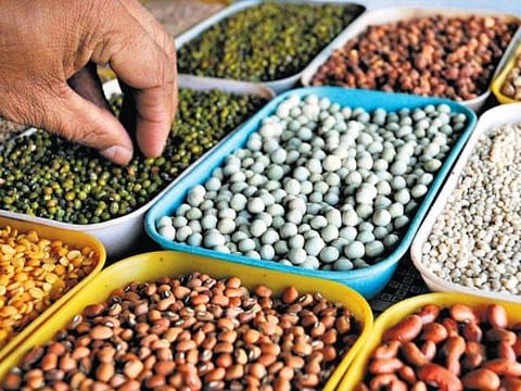 82 ஆயிரம் டன் பறிமுதல்: பருப்பு விலை﻿ ரூ.20 சரிவு