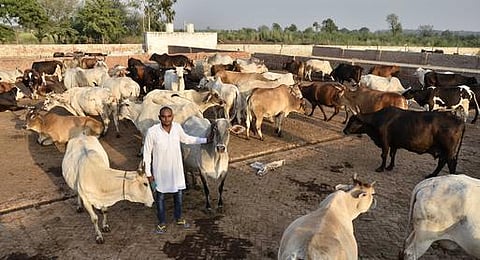 மாட்டிறைச்சி ஆவணப் படத்தைத் திரையிட மத்திய அரசு தடை