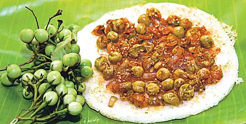 சுவையான சுண்டைக்காய் ஊத்தப்பம்﻿