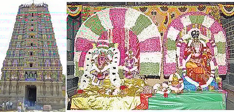 திருத்தலம் அறிமுகம்: திருவாடானை ஆதிரெத்தினேஸ்வரர் ஆலயம் - தலவிருட்சம் நான்கு﻿