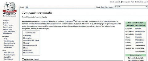 விக்கிபீடியாவின் புதிய மைல்கல்