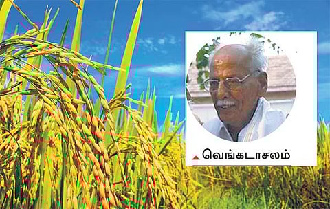 முன்னத்தி ஏர் 8: ‘﻿நெல்லின் செல்வர்﻿