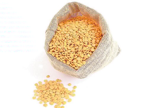 கிடங்குகளில் அதிகாரிகள் சோதனை நடத்துவதற்கு எதிர்ப்பு: கர்நாடகாவில் பருப்பு வர்த்தகர்கள் வேலை நிறுத்தம்﻿