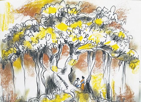 மனுசங்க.. 29: மரங்களோடு நான்!