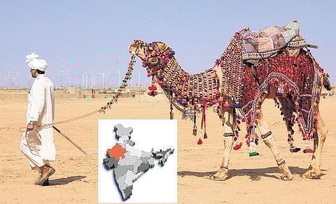 மாநிலங்களை அறிவோம்: பாலைவனச் சோலை﻿- ராஜஸ்தான்