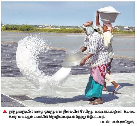 தூத்துக்குடியில் உப்பு உற்பத்தி பாதியாக சரிவு﻿: விலை இரு மடங்கு உயர்வு﻿