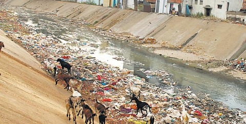 ஒரு நதியின் படுகொலை!