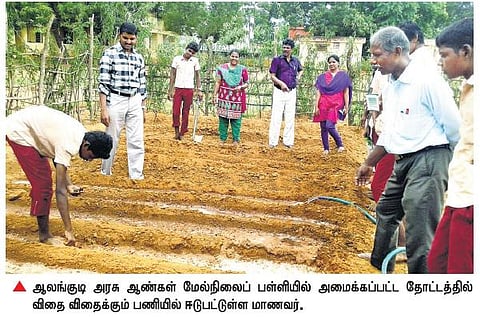 புதுக்கோட்டை மாவட்டத்தில்﻿﻿ 5 அரசுப் பள்ளிகளில் காய்கறி தோட்டம்﻿: மாணவர்களுக்கு ஊட்டச்சத்தை அதிகரிக்க நடவடிக்கை﻿