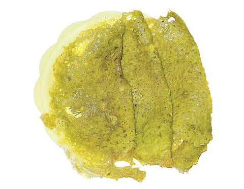 முள்ளு முருங்கை இலை தோசை