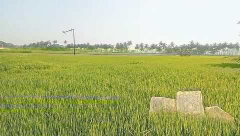 கங்கை கொண்ட வரலாற்றைத் தேடி... 2 - வீரம் விளைந்த வயல்﻿