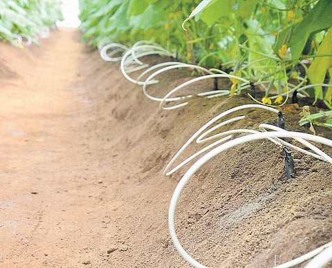 ஒவ்வொரு பொருளிலும் மறைந்திருக்கும் மறைநீர் அளவை குறைக்க சிக்கனம் அவசியம்: வேளாண்மை அறிவியல் நிலையம் தகவல்﻿