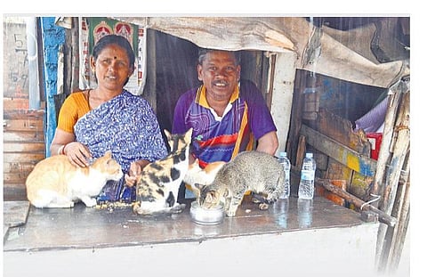 சென்னை அழியாது... ஏன்?﻿