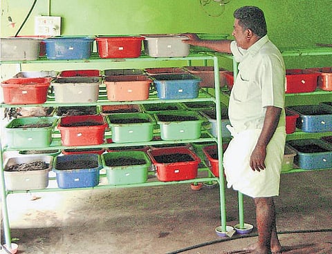 முன்னத்தி ஏர் 12: சத்தியமங்கலத்தில் ஒரு ஃபுகோகா பண்ணை﻿