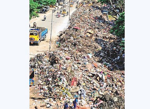 அண்ணாநகர் மண்டலத்தில் அதிக குப்பைகள்: ஒரே வாரத்தில் 7 ஆயிரம் டன் அகற்றம்