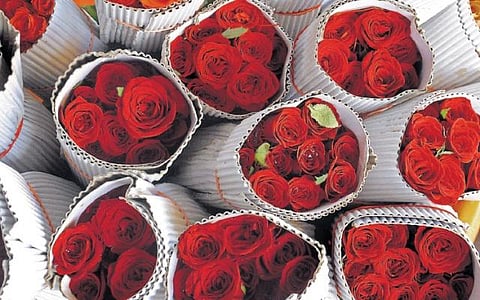 ஒரே வாரத்தில் சீனப் புத்தாண்டும், காதலர் தினக் கொண்டாட்டமும்..﻿ சர்வதேச சந்தையில் தமிழக ரோஜாவுக்கு வாய்ப்பு﻿