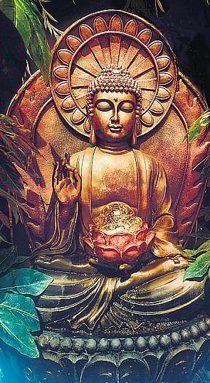 என்ன பயனுள்ளது?﻿