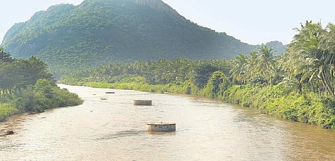 பாண்டியர்கள் தாலாட்டிய வைகை﻿