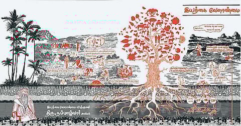 நிலத்துக்கு எப்படி வருகிறது வளம்?﻿ - நம்மாழ்வார் நினைவு நாள்: டிச. 30