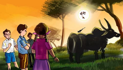 பசுமைப் பள்ளி 18: வெப்பம் தணிப்போம்﻿