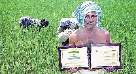 சூரிய ஒளி மின்சார நீர்பாசனத்தில் ஏக்கருக்கு 4,500 கிலோ நெல் உற்பத்தி﻿- நவீன தொழில்நுட்பத்தில் விவசாயி சாதனை