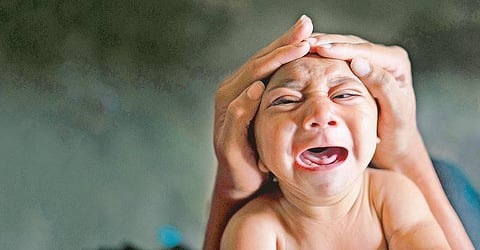 இந்தியாவைத் தாக்குமா ஜிகா ஜுரம்?﻿