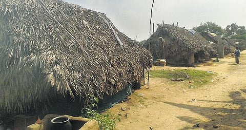 மின் இணைப்பு கிடைக்காமல் இருளில் தவிக்கும் இருளர் இன மக்கள்: படிக்க முடியாத நிலையில் மாணவர்கள்