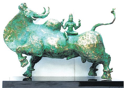 கம்பீரக் காளைகளோடு கொஞ்ச நேரம்﻿