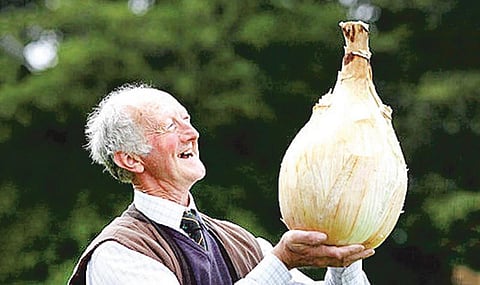 உலகின் பிரம்மாண்ட வெங்காயம்!﻿