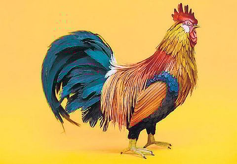 உலக மசாலா: கலக்கிட்டீங்க டயானா!