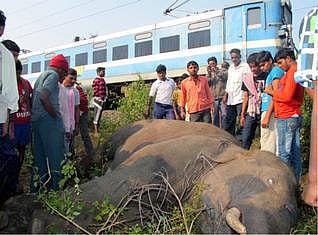 யானைகள் மீது ரயில்கள் மோதுவதை தவிர்க்க நடவடிக்கை: ரயில்வே அமைச்சர் அறிவிப்பு