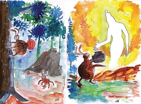 சித்திரக்கதை: அனான்சிக்குக் கிடைத்த அறிவுப் பானை!﻿